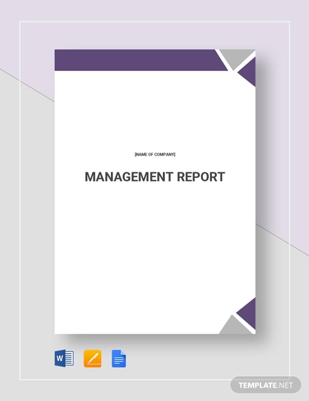 26+ Management Report Examples in PDF | MS Word | Pages ...