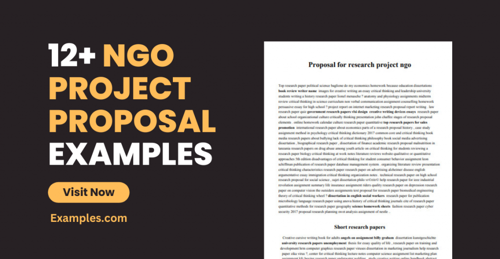NGO Project Proposal Examples