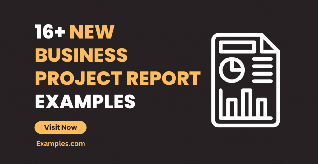 New Business Project Report Examples
