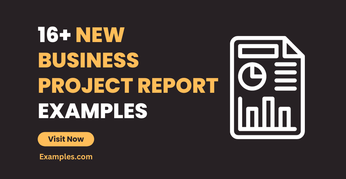 New Business Project Report Examples