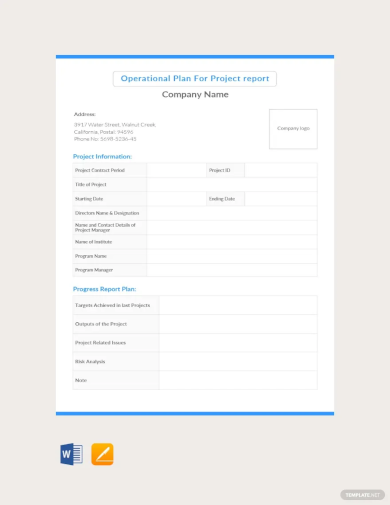 Operational Plan For Project report Template