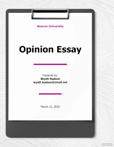 opinion essay