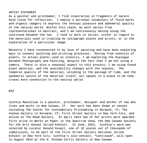 25 Artist Statement Examples To Download