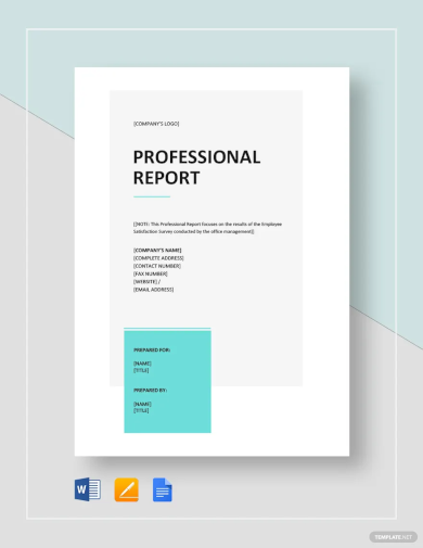 professional report template