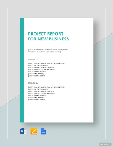 project report for new business template