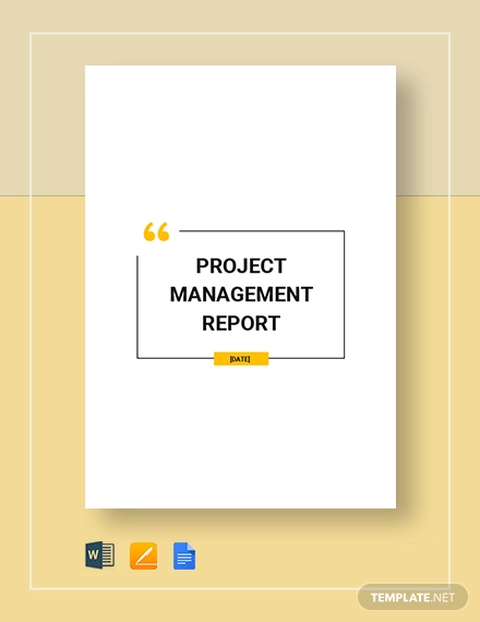 project management reort