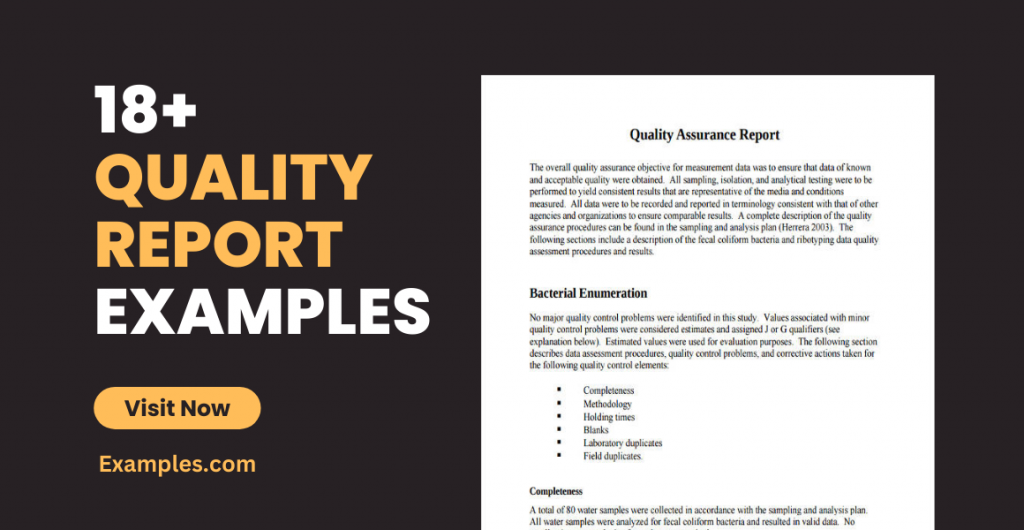 Quality Report Examples