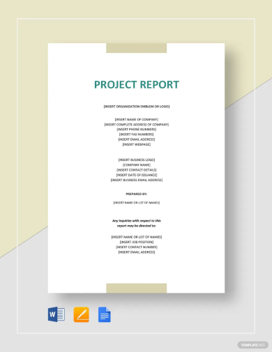 sample project report for investors template