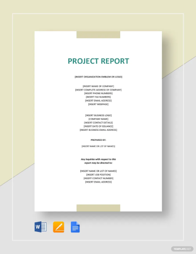 Sample Project Report For Investors Template