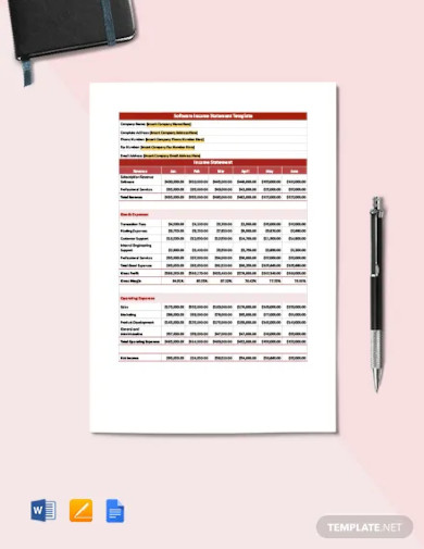 software income statement template