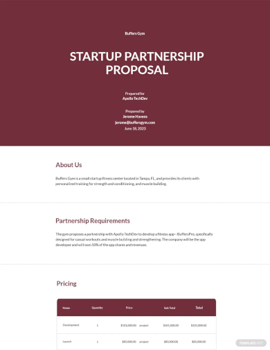 Startup Partnership Proposal Template