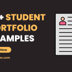 Student Portfolio Examples