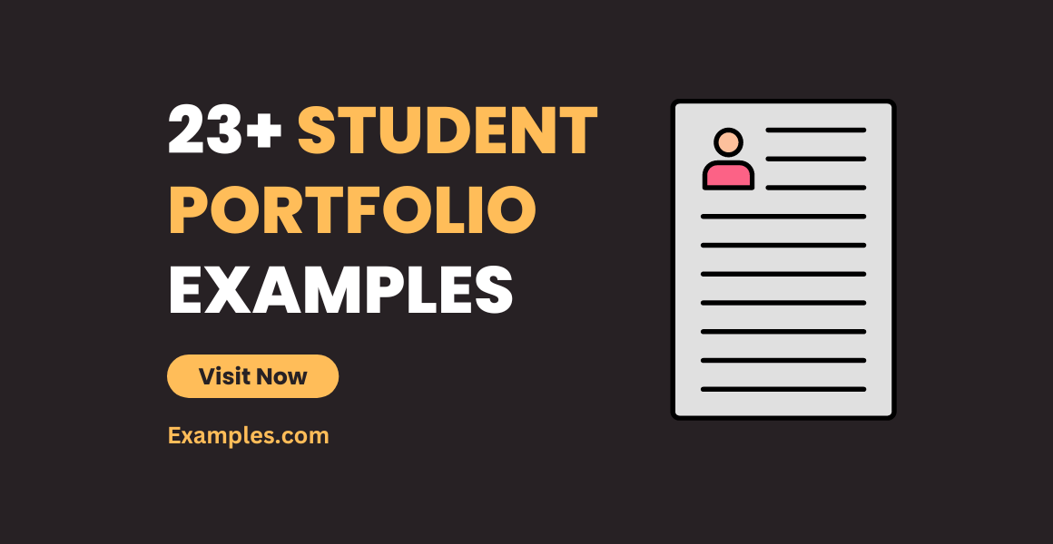 Student Portfolio Examples