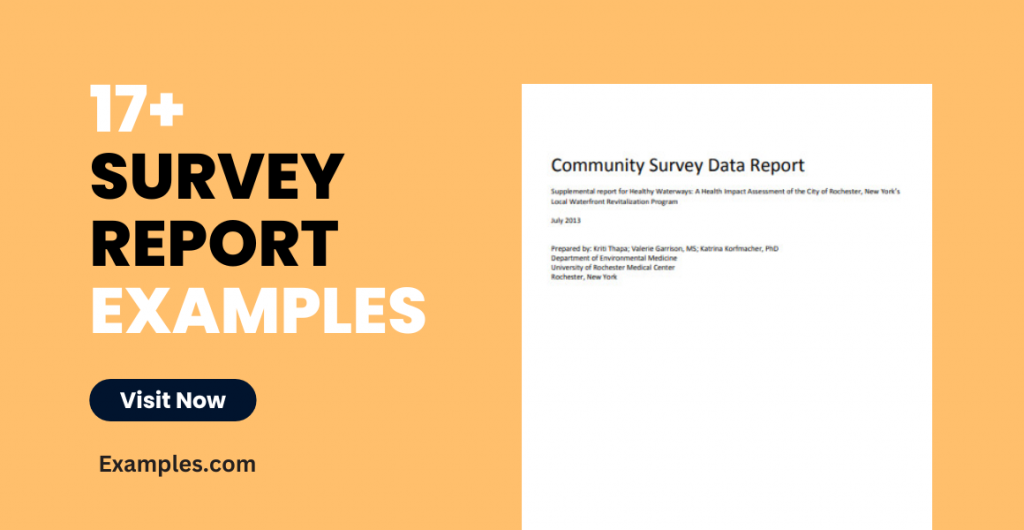 Survey Report Examples