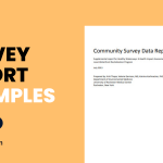 Survey Report Examples
