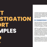Theft Investigation Report Examples