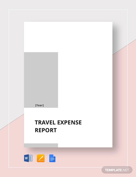 Travel expense report