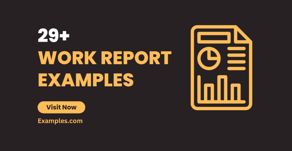 Work Report Examples
