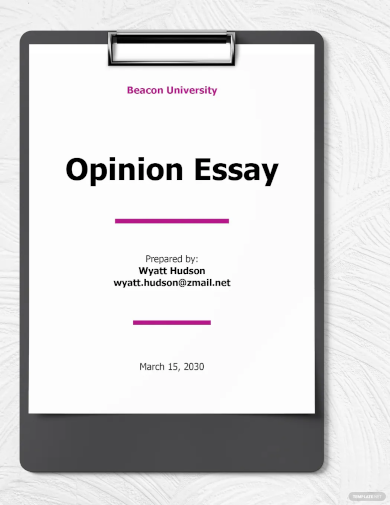 opinion essay template