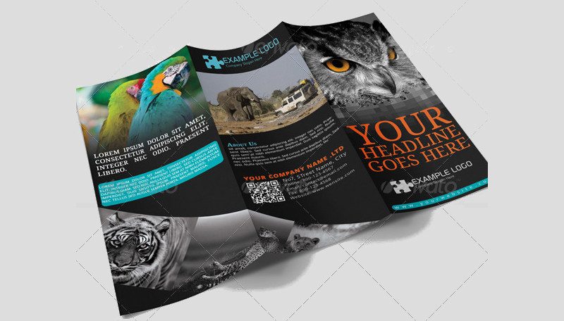 Adventure Travel Agency Brochure