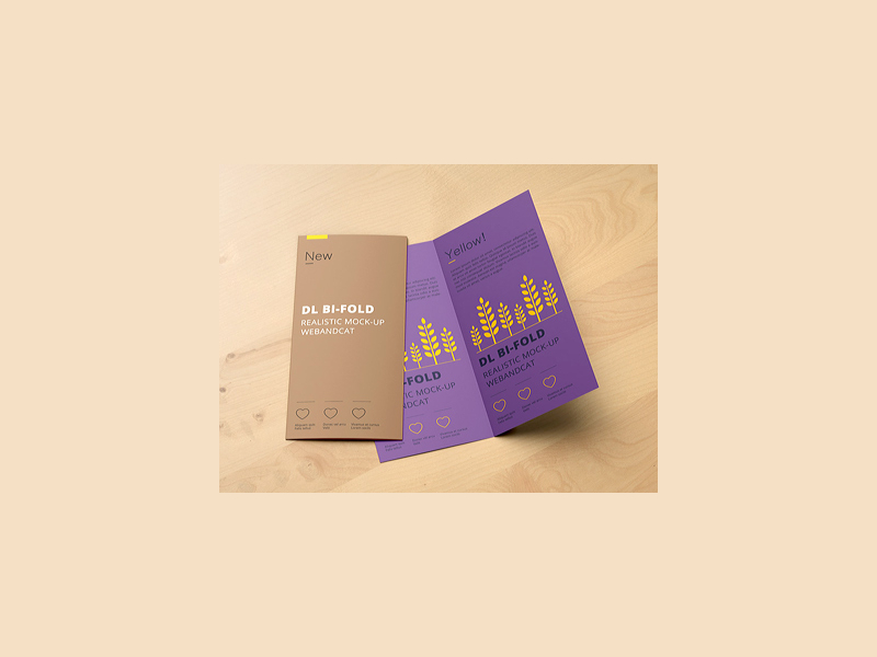 dl bi fold brochure