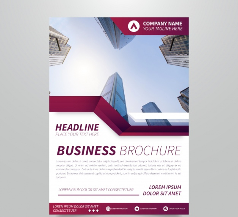 elegant business brochure 
