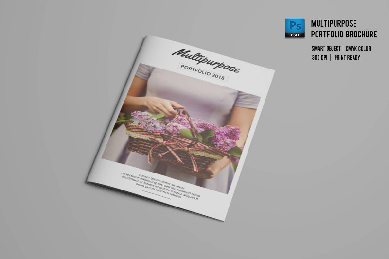 Multipurpose Portfolio Brochure