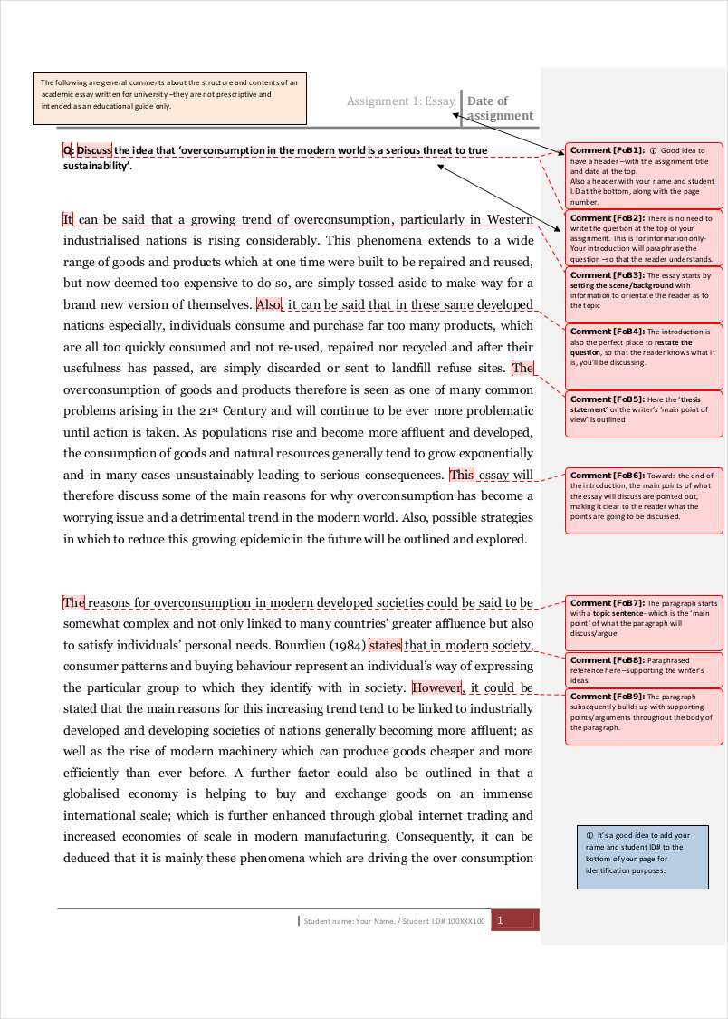 sample academic essay outline1