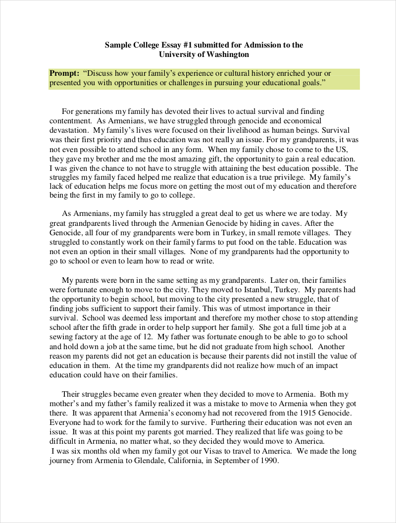 EXAMPLES OF COLLEGE ESSAY – fighgahal1972 site