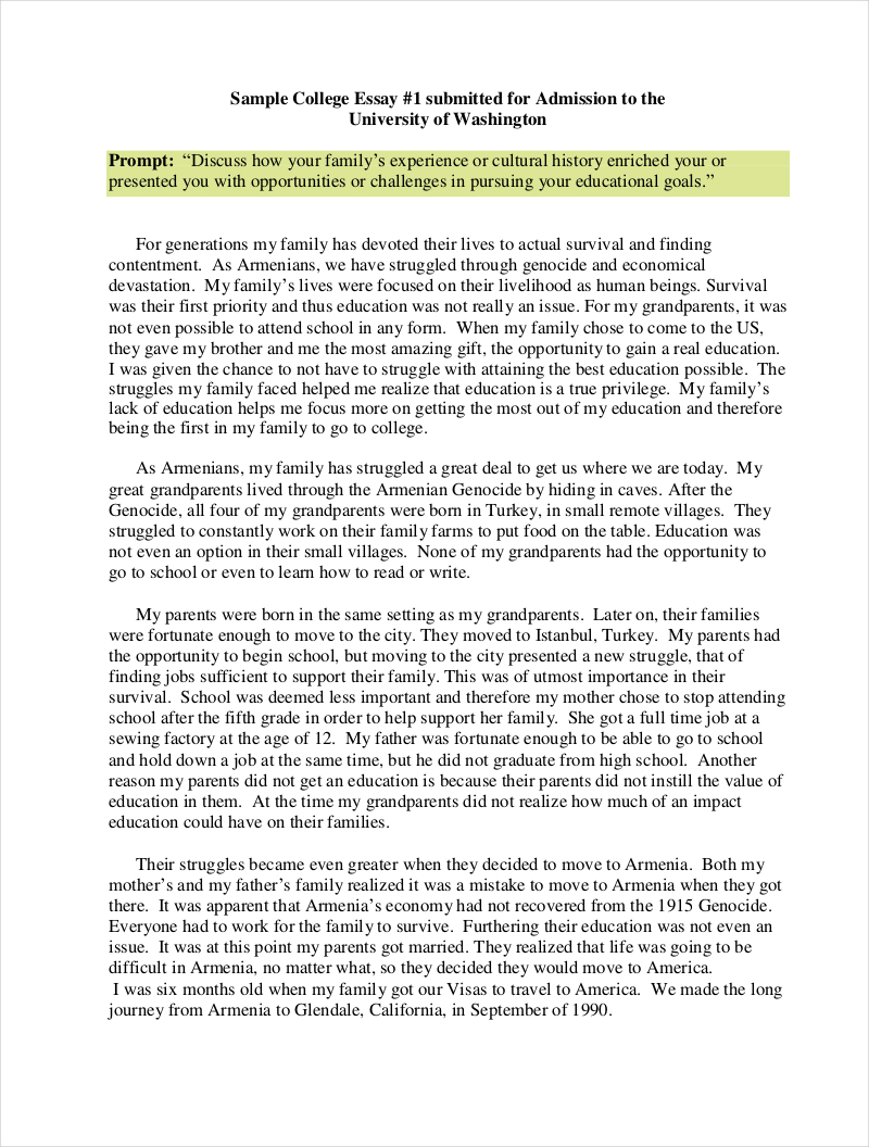 Sample-College-Essay-Example-in-PDF