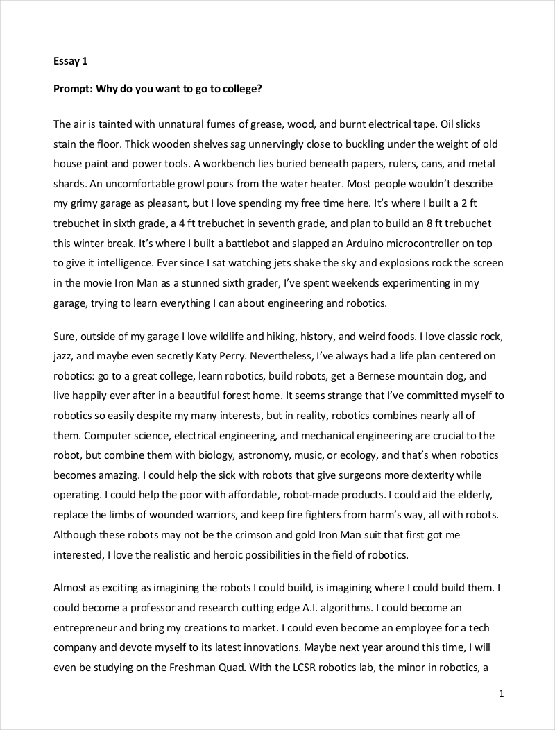 26 Outstanding College Essay Examples Example Of A College Essay 