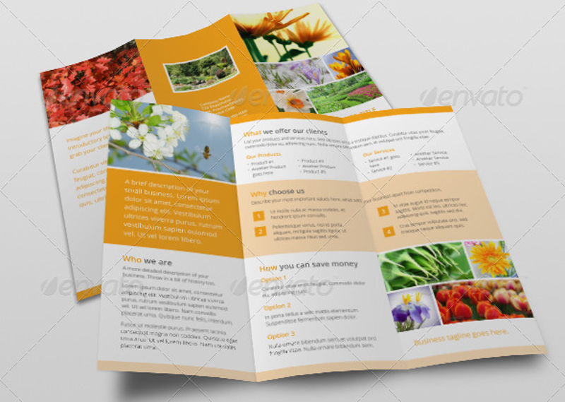 small business tri fold brochure