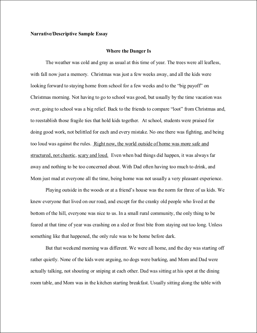 3 page descriptive essay