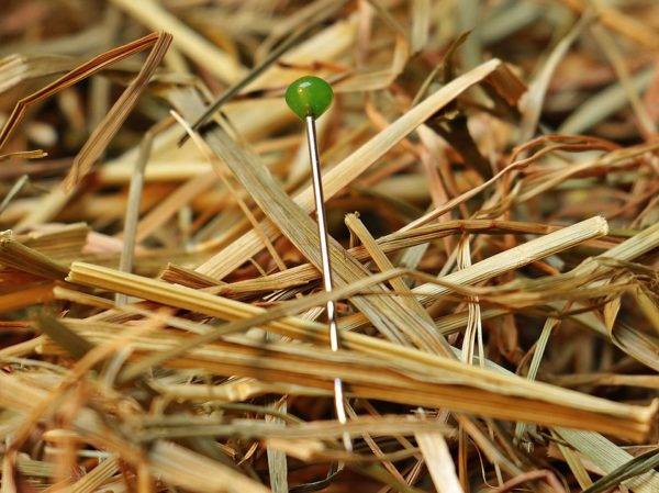 needle in a haystack