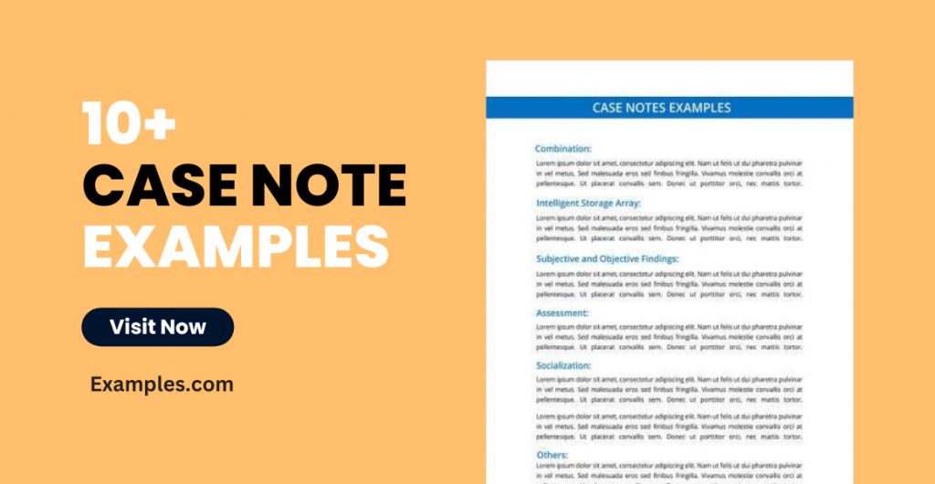 Case Note Examples