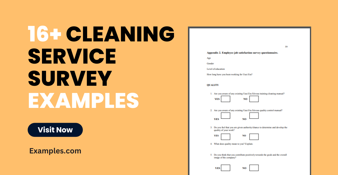 Cleaning Service Survey Examples