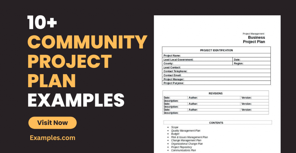 Community Project Plan Examples