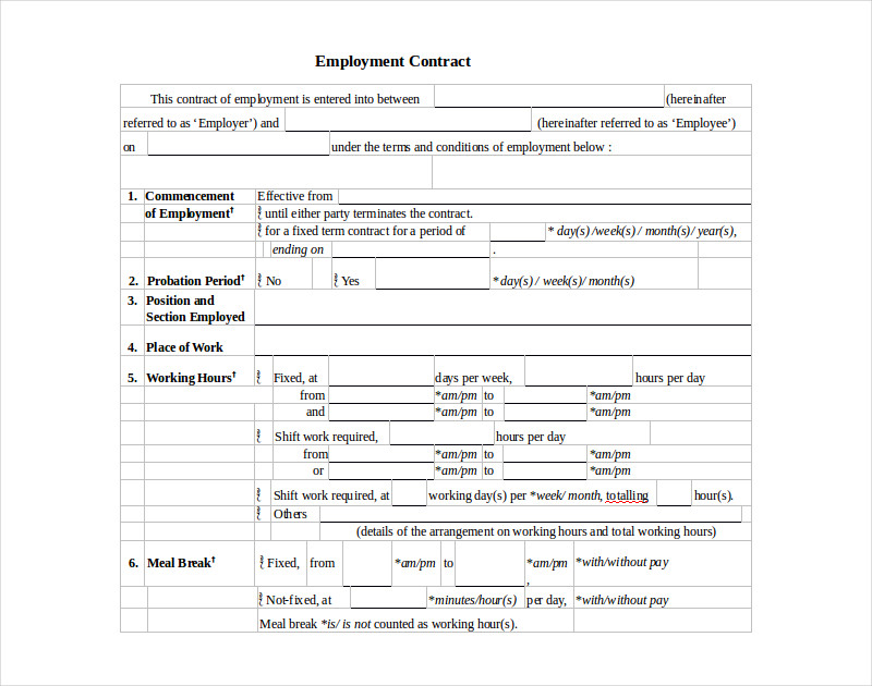 employment contract in word