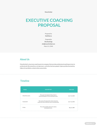 free executive coaching proposal template