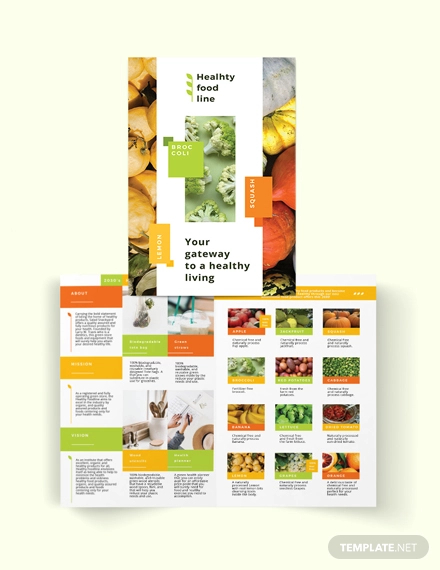 Health Nutrition Bi Fold Brochure Template