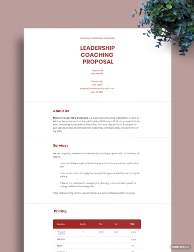leadership coaching proposal template