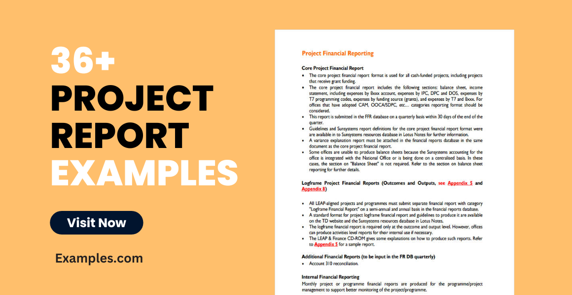 project report examples