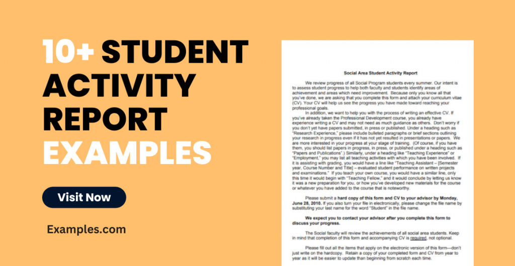 Student Activity Report Examples