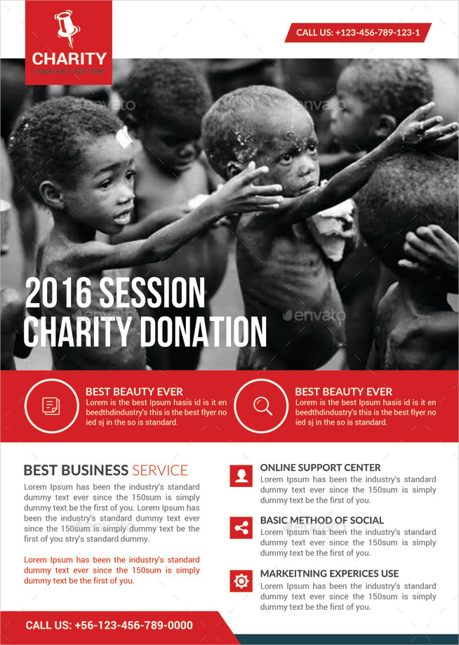 Donation Flyer 25  Examples Illustrator Design Word Pages