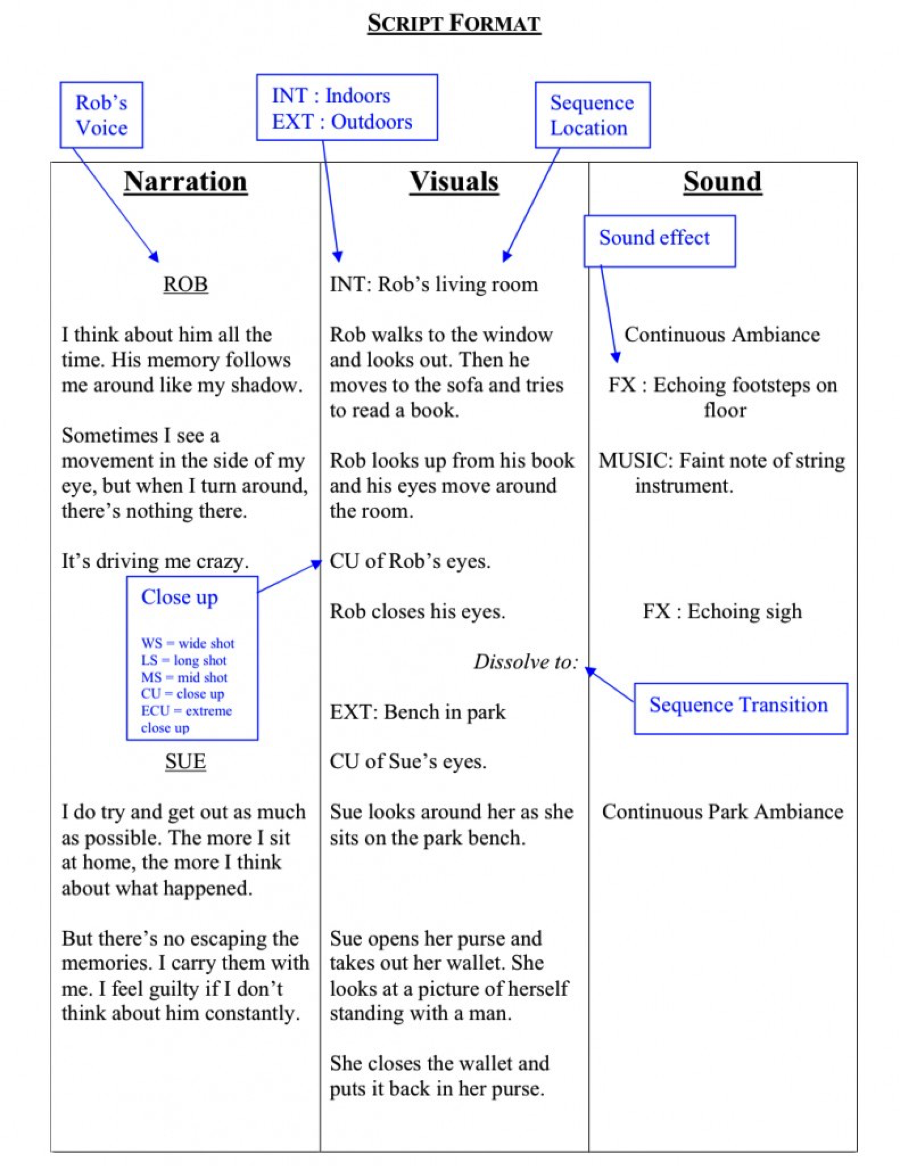 Documentary Script Outline Examples 2 PDF Examples