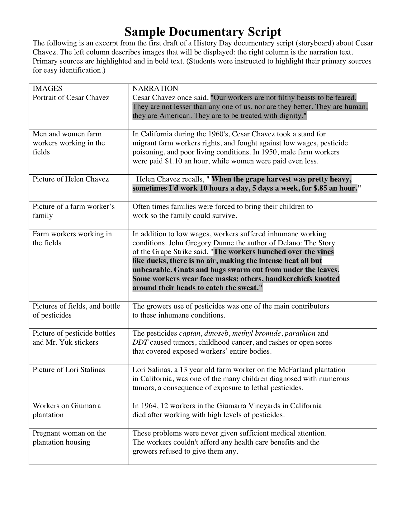 2+ Documentary Script Outline Examples - PDF | Examples