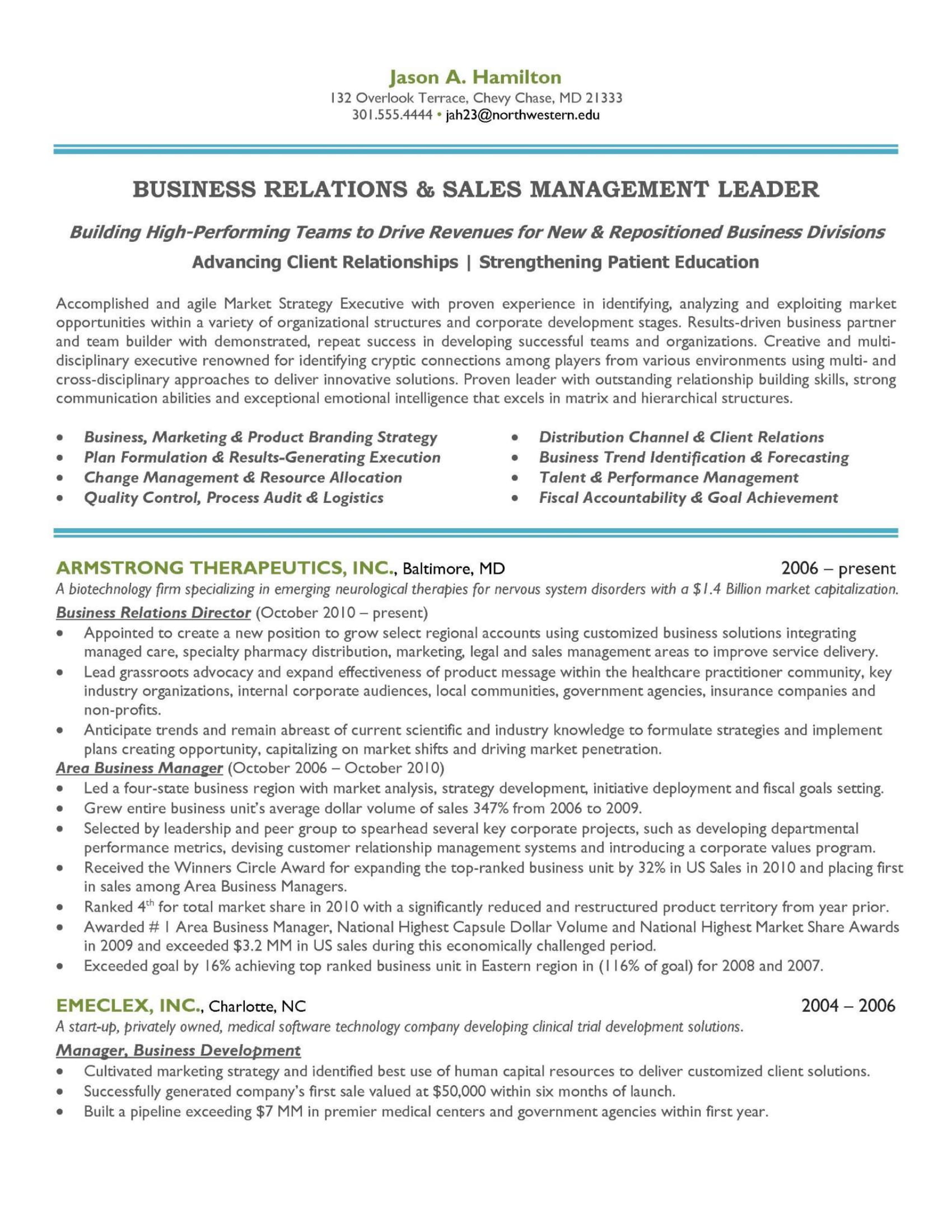 Sales and Marketing Manager Career Summary Example 1