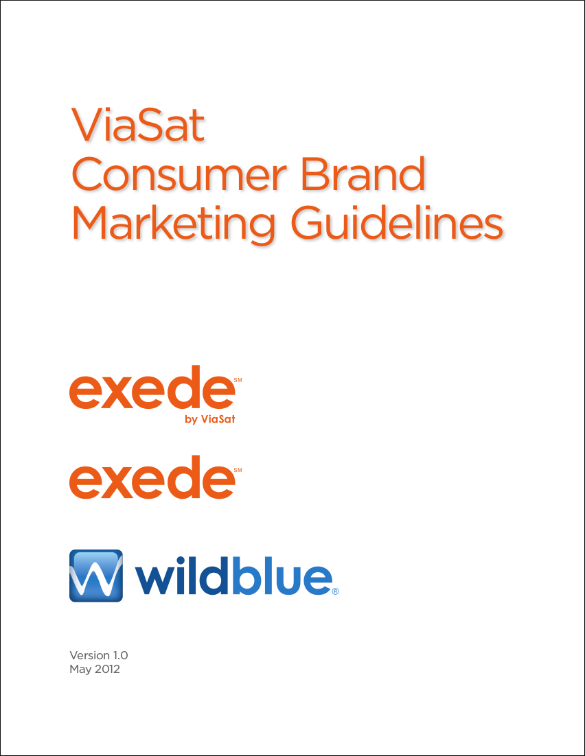 sample consumer brand marketing guide