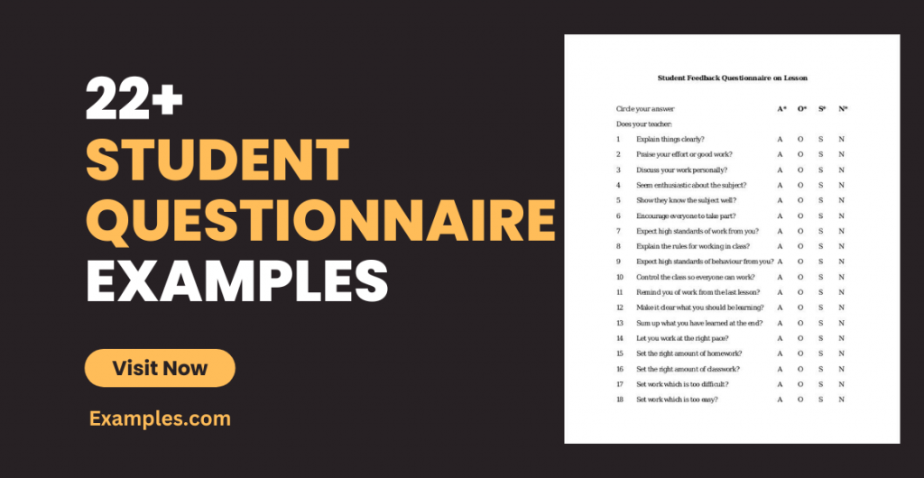 Student Questionnaire Examples