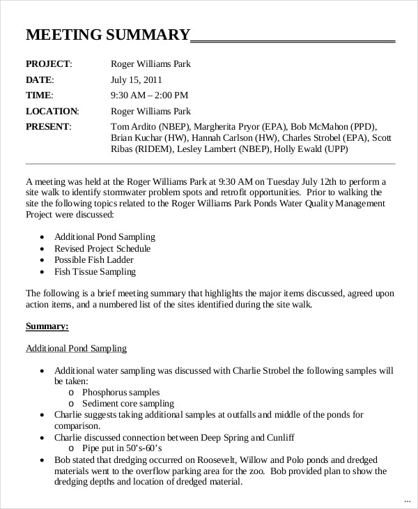Meeting Summary Examples PDF
